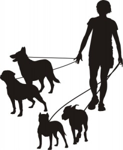 Dog walker